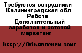 Требуются сотрудники - Калининградская обл. Работа » Дополнительный заработок и сетевой маркетинг   